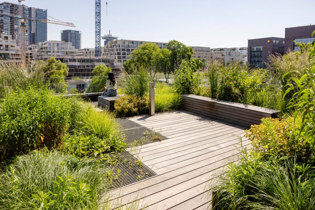 Biodiverse rooftop garden at Max & Moore Amsterdam featuring native planting, wooden terraces, and urban greenery designed by MOSS for sustainable living and climate adaptation.