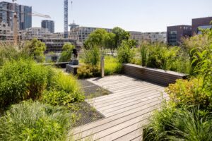 Biodiverse rooftop garden at Max & Moore Amsterdam featuring native planting, wooden terraces, and urban greenery designed by MOSS for sustainable living and climate adaptation.