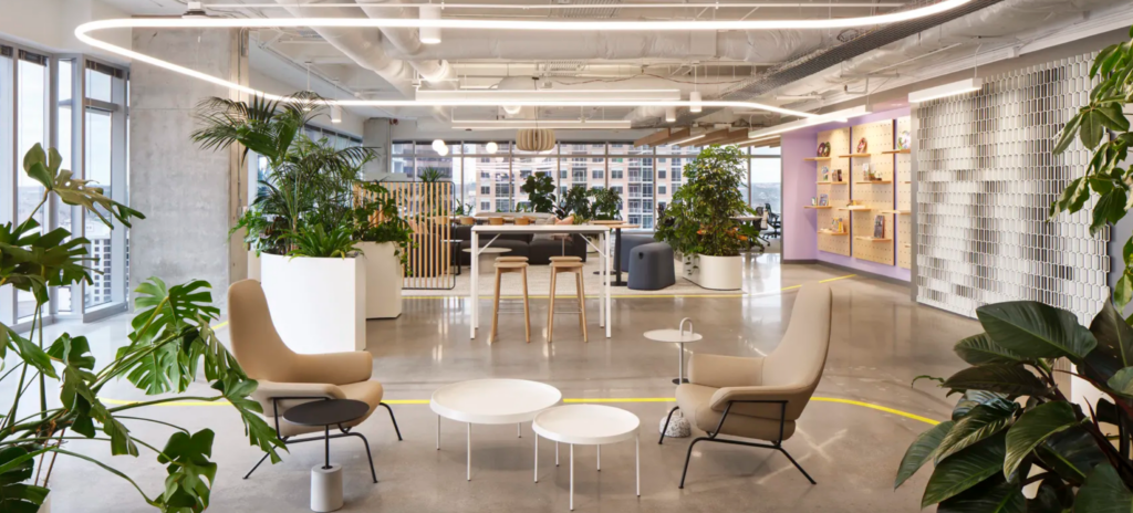 Biophilic office interior at Miro Austin featuring indoor plants, flexible workspace design, and natural light-filled collaborative areas