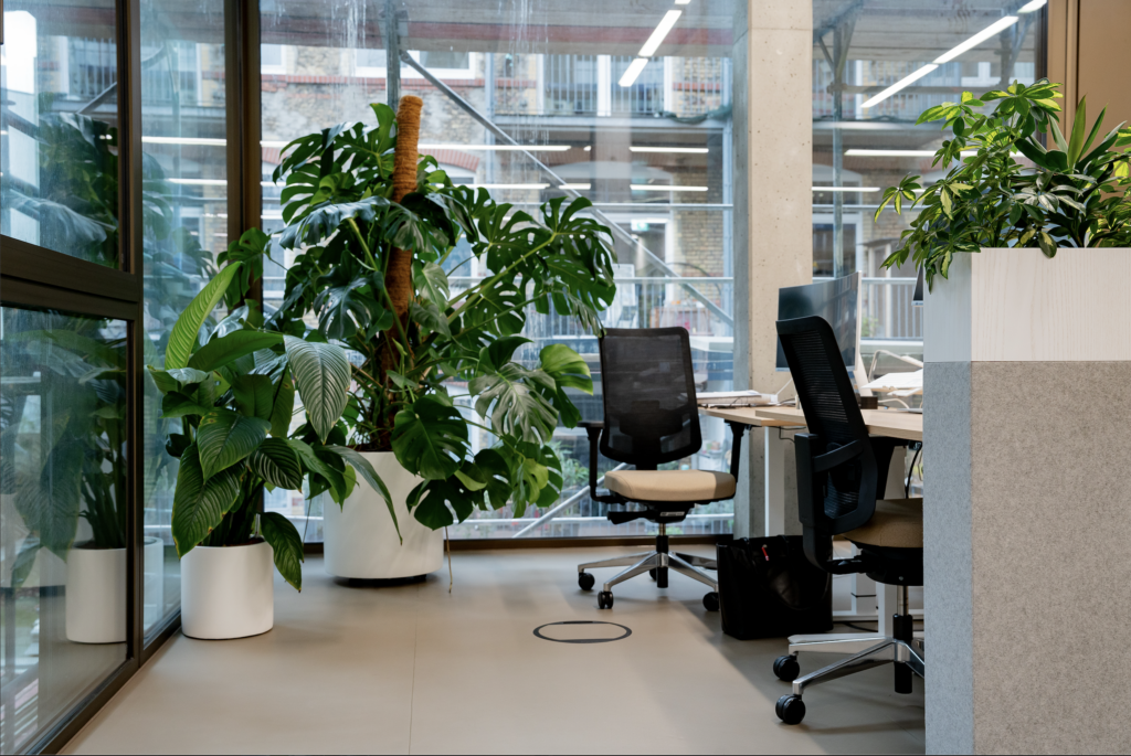 Biophilic office workspace at Miro Berlin with large indoor plants and natural daylight