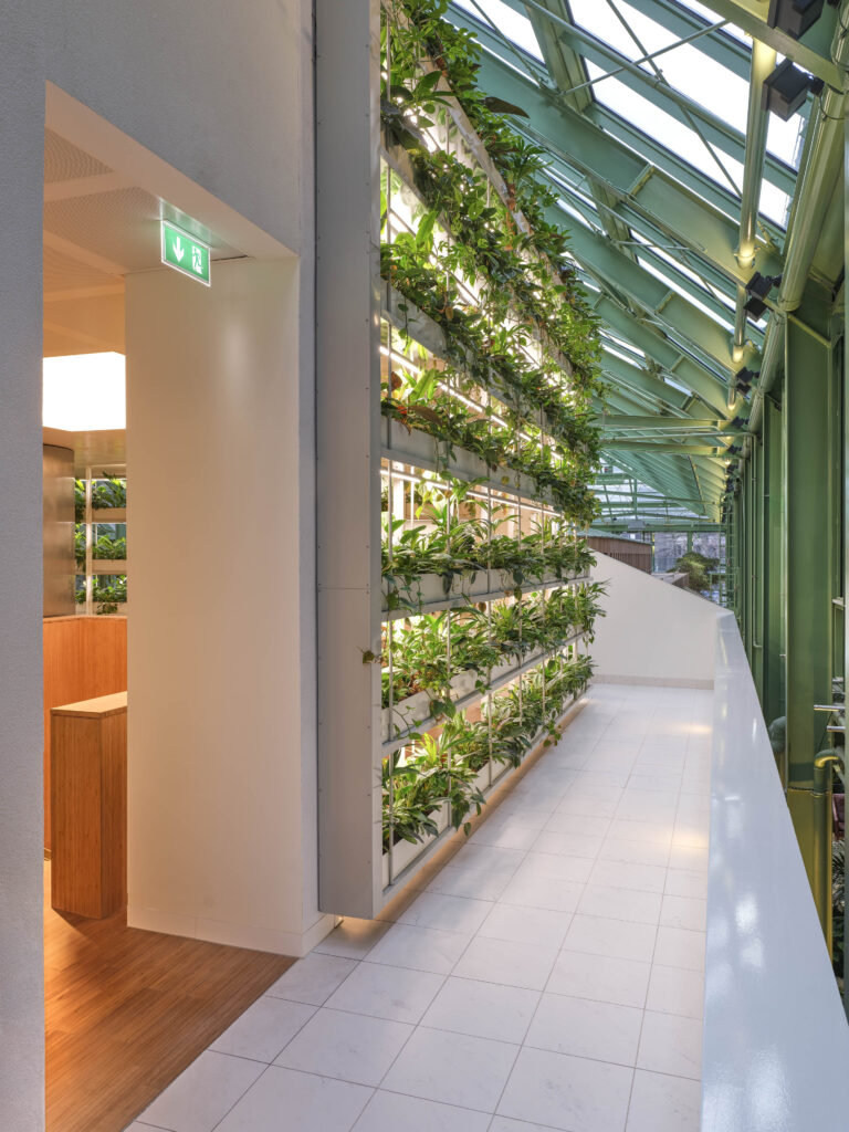 Indoor green wall at Rijkskantoor B73 with biophilic design under glass atrium