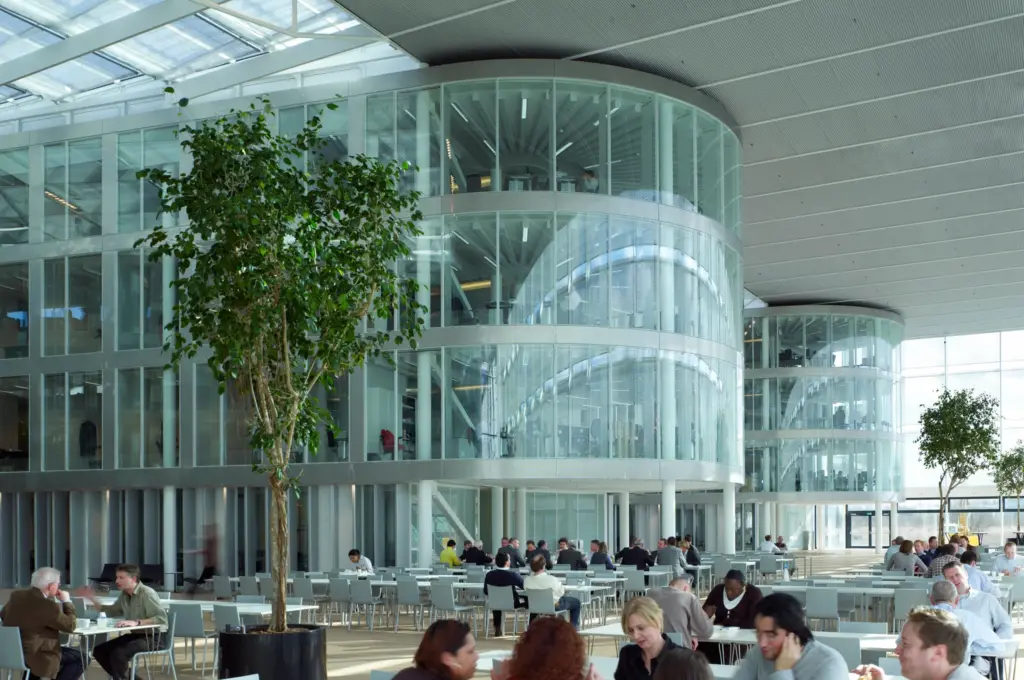 Light-filled atrium at Rijkswaterstaat Utrecht featuring indoor trees, integrated planting, and biophilic workplace design.