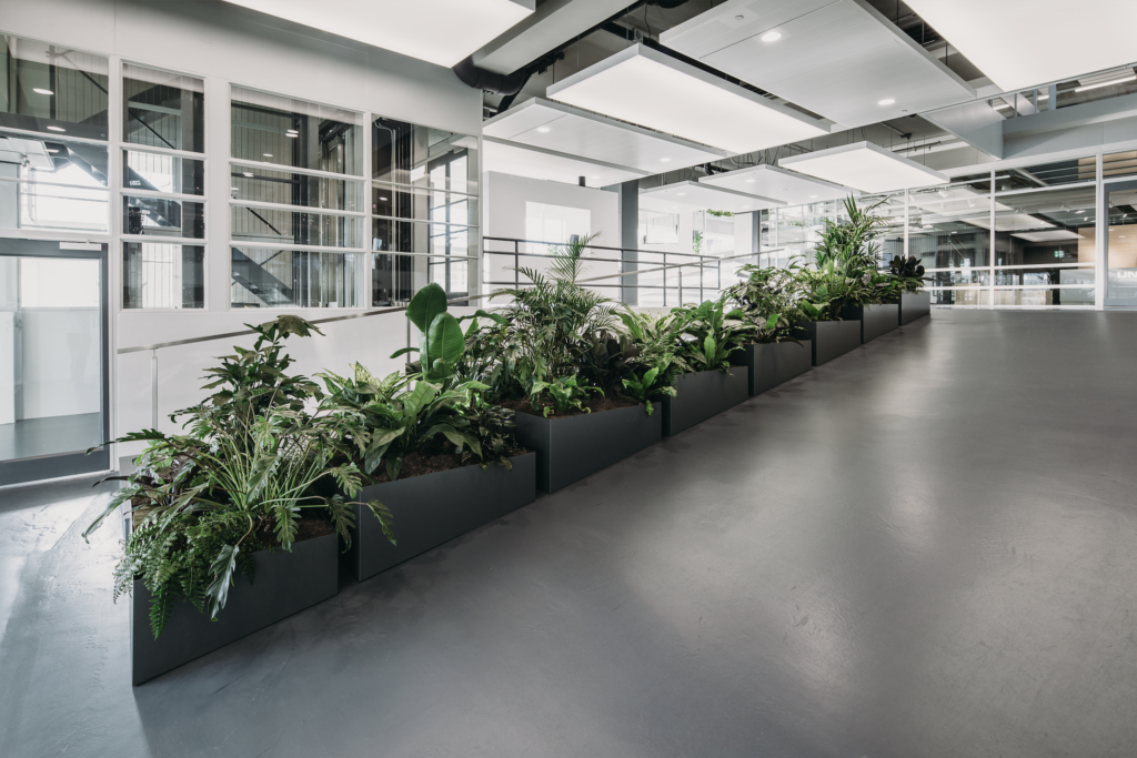 Contemporary office interior with linear tropical planters at The Garage Amsterdam designed by MOSS