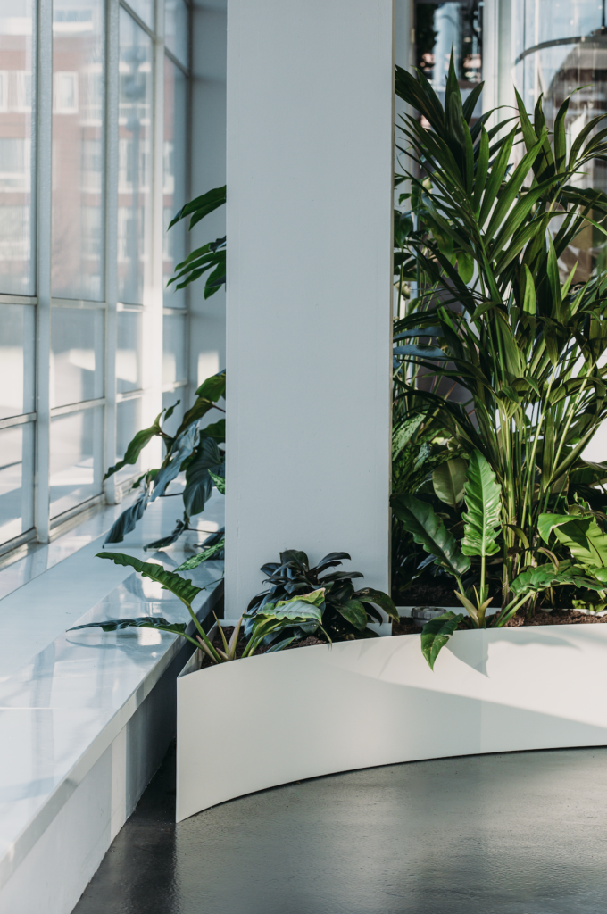 Custom indoor planter with tropical greenery at The Garage Amsterdam designed by MOSS