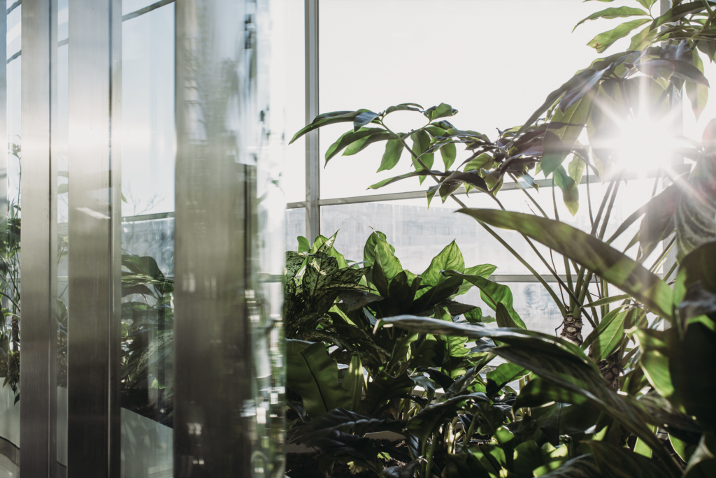 Sunlit tropical indoor planting beside glass façade at The Garage Amsterdam by MOSS