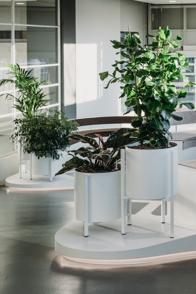 Modern office interior with sculptural white planters and tropical plants at The Garage Amsterdam