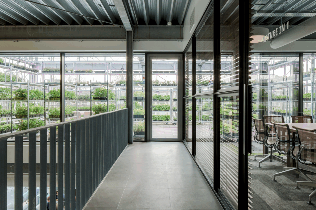 Meeting room overlooking an urban greenhouse at The Green House Utrecht, integrating workplace design, urban farming, and biophilic architecture.