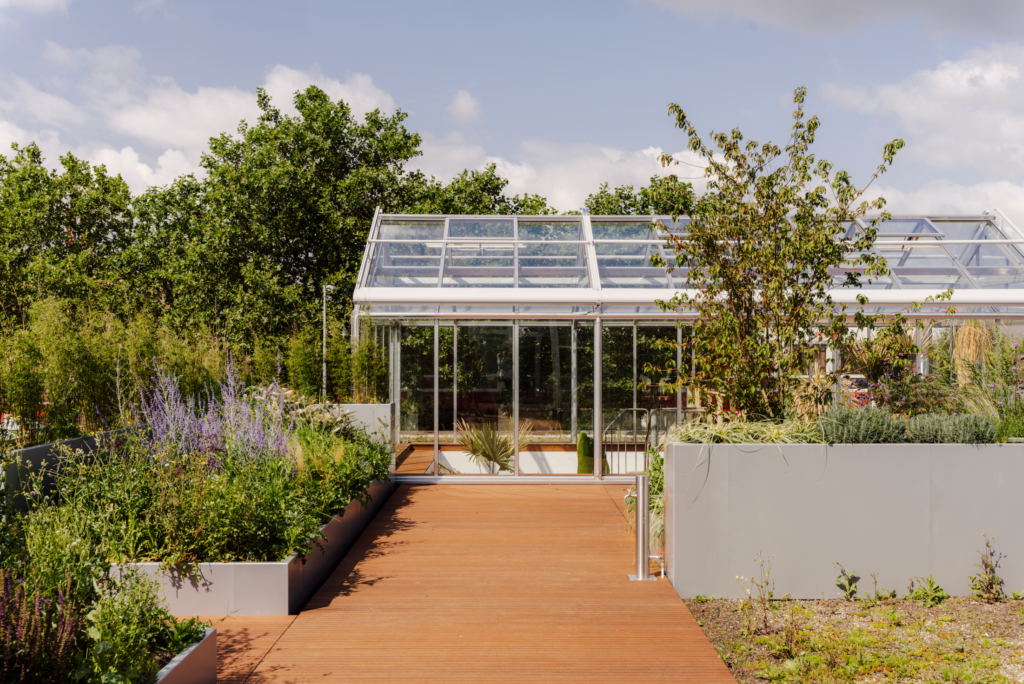 Wooden rooftop terrace leading to glass greenhouse with Mediterranean planting at The Wearhouse Amsterdam