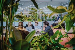 Employees collaborating in a biophilic office surrounded by tropical indoor planting at The Core Amsterdam, featuring integrated green workspaces designed by MOSS.