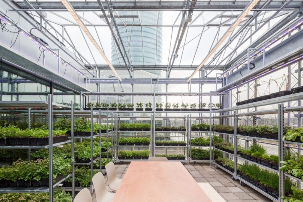 Urban rooftop greenhouse at The Green House Utrecht featuring vertical farming systems, edible herbs, vegetables, and hydroponic growing racks supporting sustainable food production.