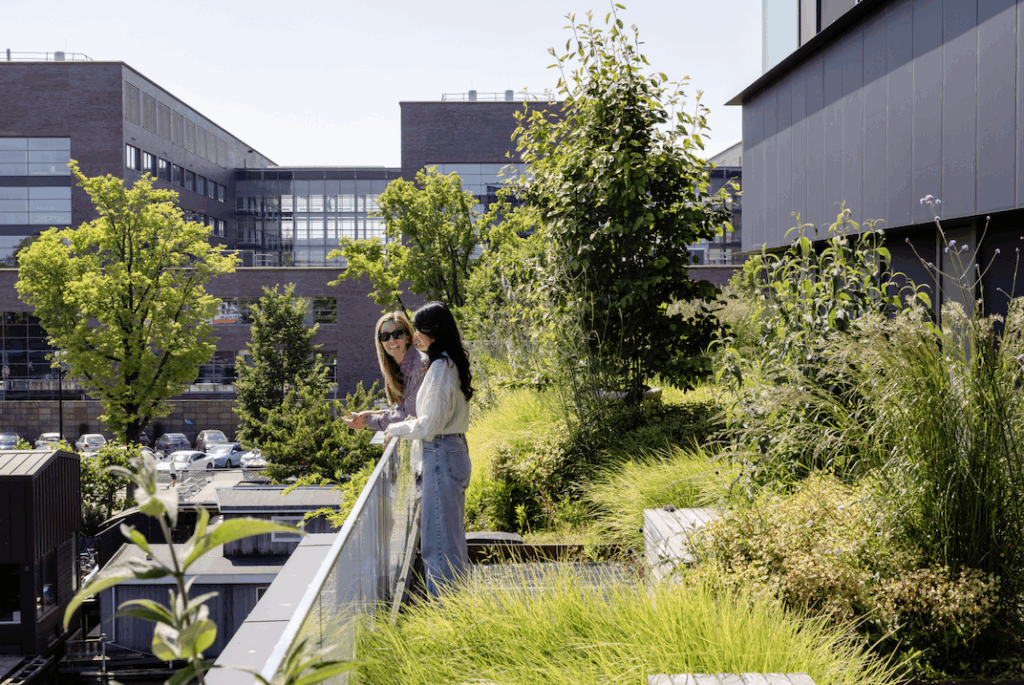 Green roof terrace with diverse planting and seating at Max and Moore Amsterdam, showcasing biophilic office design and urban biodiversity