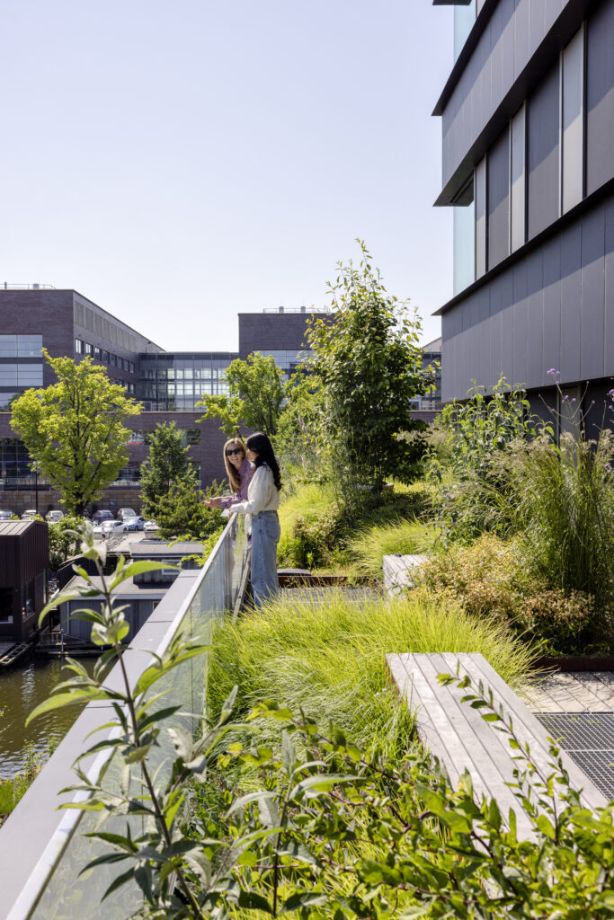 Employees enjoying planted rooftop garden with grasses and shrubs at Max and Moore Amsterdam sustainable office complex