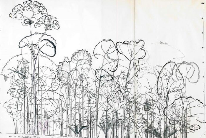 Layered planting design sketch showing diverse plant species structure in naturalistic landscape design