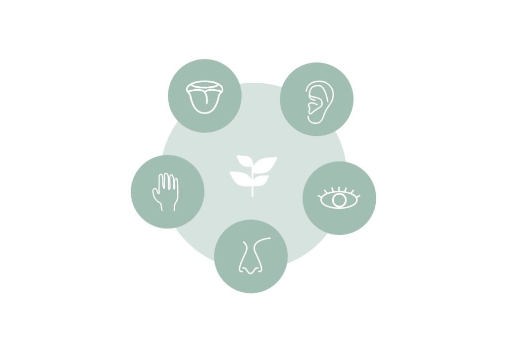 Diagram showing five human senses connected to nature in biophilic design including sight, sound, smell, touch, and taste