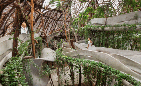 Biophilic design diagram illustrating indoor and outdoor greenery targets including living walls, water features, and green space percentages in healthy buildings