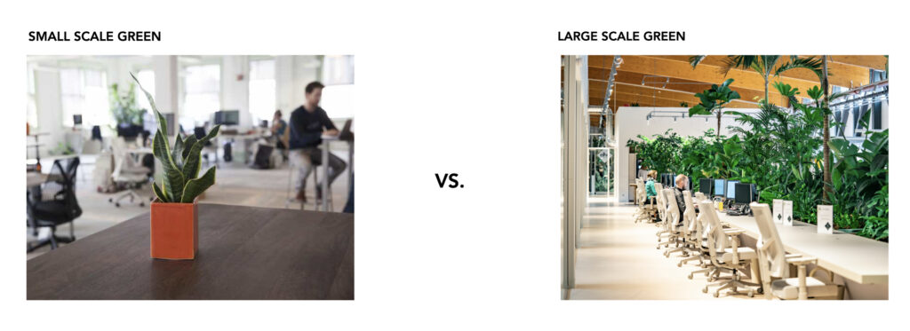 Comparison between small-scale desk plant and large-scale indoor greenery in office environment