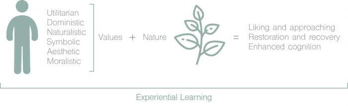 Human-nature interaction diagram showing benefits of experiential learning and biophilic design