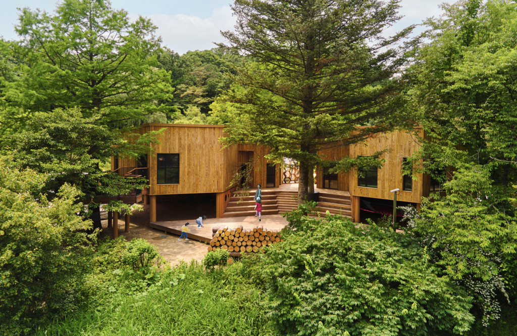 Sustainable timber building integrated into forest landscape showcasing biophilic architecture and nature-based design principles