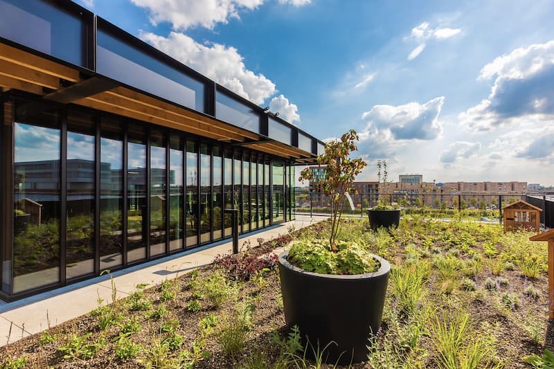 Green roof with native planting and urban biodiversity design on office building promoting climate resilience and sustainable architecture