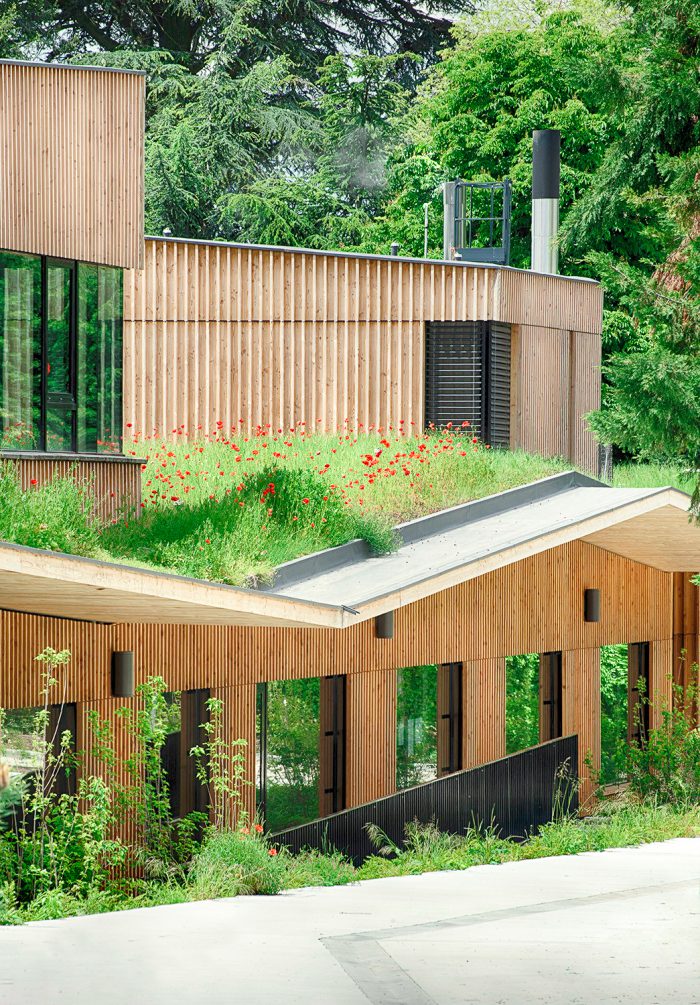 School building with green roof and natural planting supporting biodiversity and environmental integration