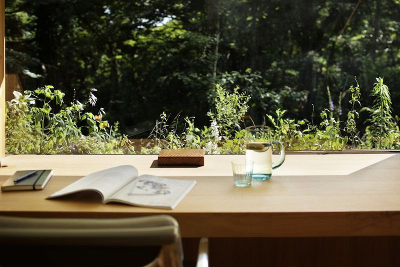 Desk by a large window overlooking a forest, providing a direct visual connection to nature