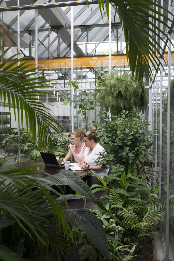 People working in greenhouse-style office surrounded by plants supporting wellbeing and productivity