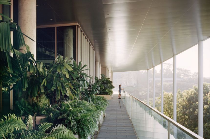 Biophilic building balcony with lush planting and natural light creating a healthy transitional workspace connected to nature