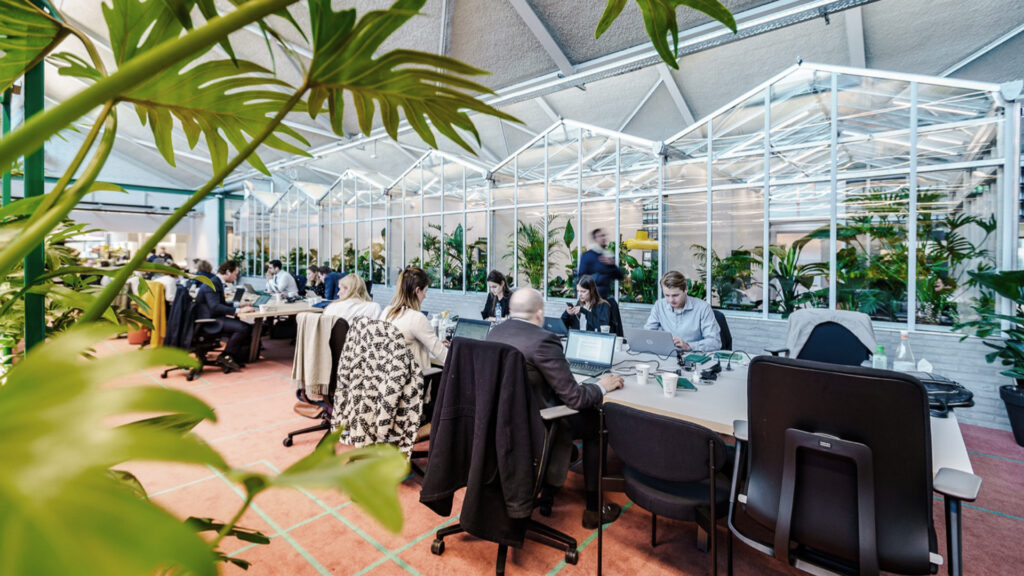 Biophilic office interior with greenhouse-style meeting rooms, indoor plants, and open workspaces promoting well-being and sustainable workplace design