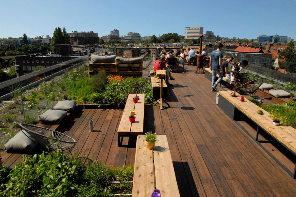 Rooftop garden with edible plants and herbs designed by MOSS in an urban setting