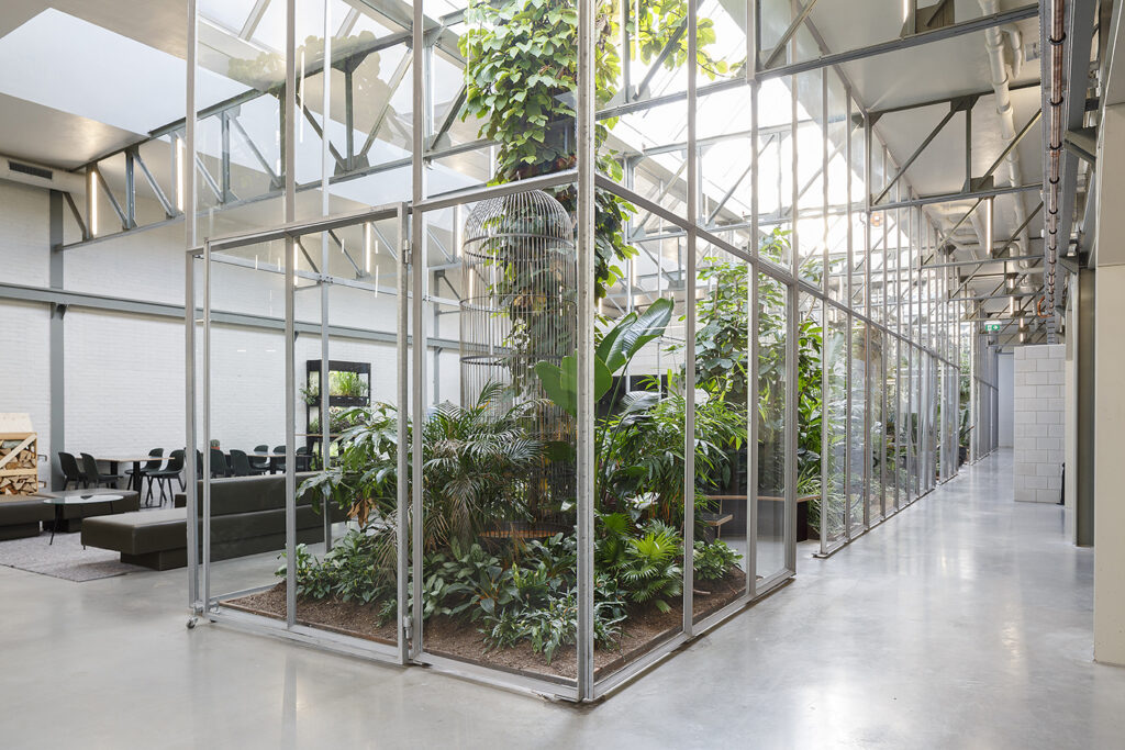Lush interior green jungle installation in Joolz office Amsterdam designed by MOSS Amsterdam biophilic workplace design