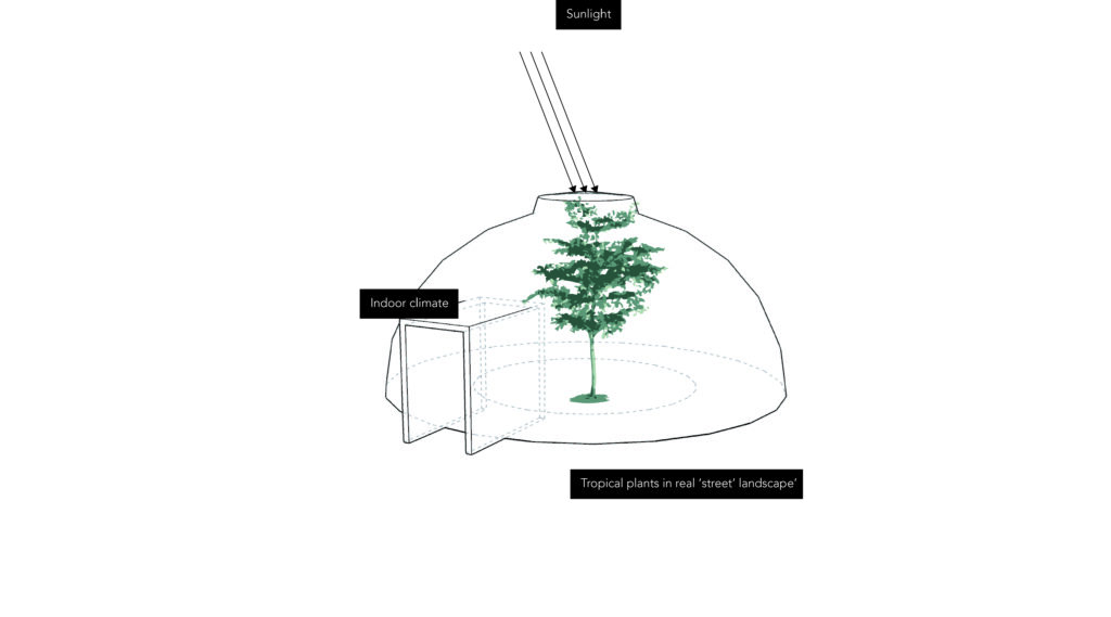 Architectural diagram of biophilic green installation with plants growing through skylight