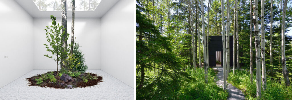 Linear grow lights simulating sunlight sustaining endangered grassland plants at Gallery of Repair Venice Biennale Australian Pavilion