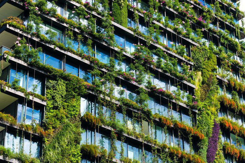 Building with vertical green facade covered in plants, supporting urban biodiversity and biophilic architecture