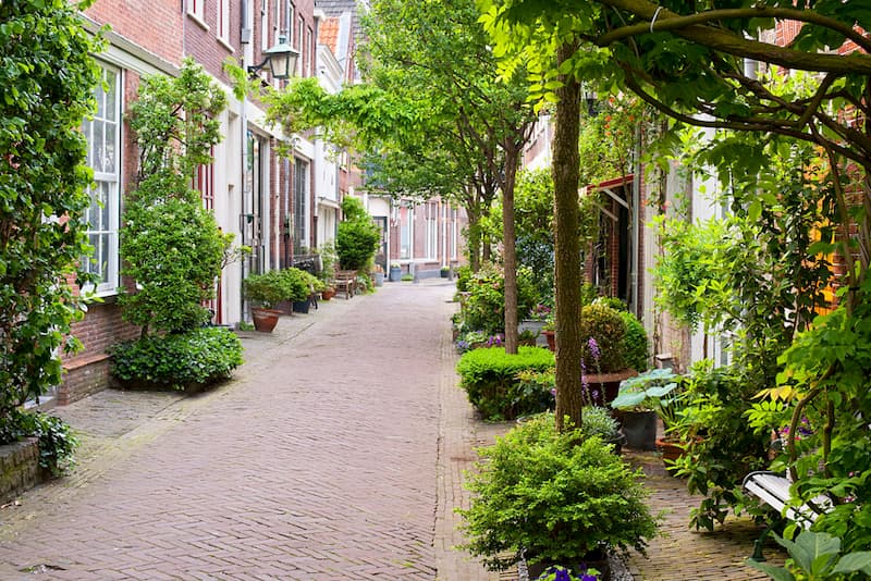 Green residential street in Amsterdam with trees, planting, and nature-inclusive urban design