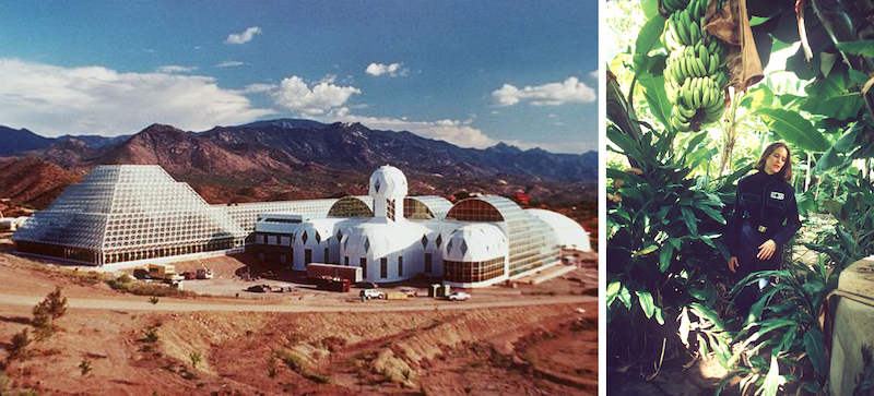 Biosphere 2 biodome complex in Arizona with enclosed ecosystems and interior tropical planting, showcasing large-scale biophilic design