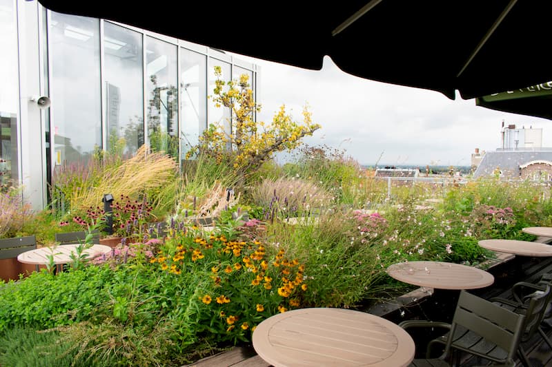 Rooftop edible garden on hotel or restaurant growing fresh herbs and vegetables for on-site kitchen by MOSS Amsterdam