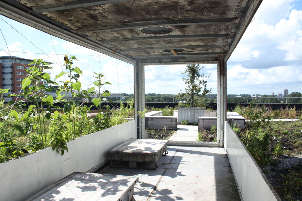 NEST rooftop bar and edible garden growing trays at Casa400 hotel Amsterdam designed by MOSS Amsterdam