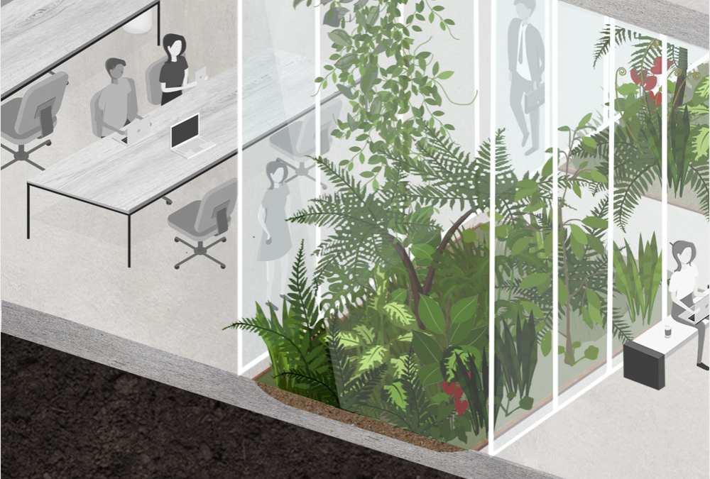 Biophilic office design with indoor garden integrated into workspace, showcasing green building strategies and nature-inclusive interiors