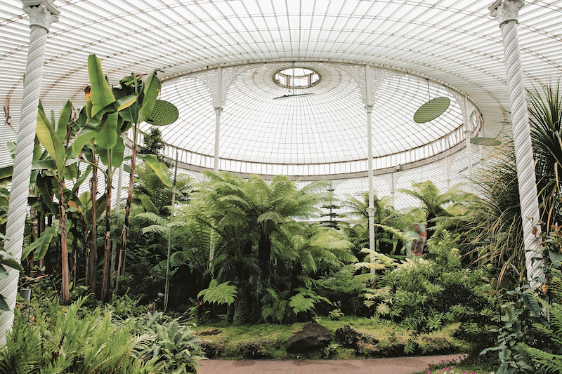 Kibble Palace glasshouse in Glasgow Botanic Gardens with tropical plants, showcasing biodome architecture and biophilic design