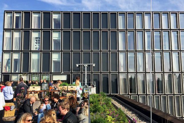 People dining on rooftop garden in Amsterdam surrounded by lush plants designed by MOSS Amsterdam urban green space