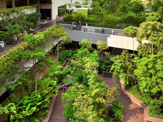 Lush outdoor office garden with dense green planting designed by MOSS Amsterdam for workplace biophilia