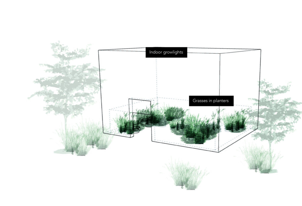 Gallery of Repair Australian Pavilion Venice Biennale endangered Victorian grassland species in concrete planters by Baracco Wright Architects