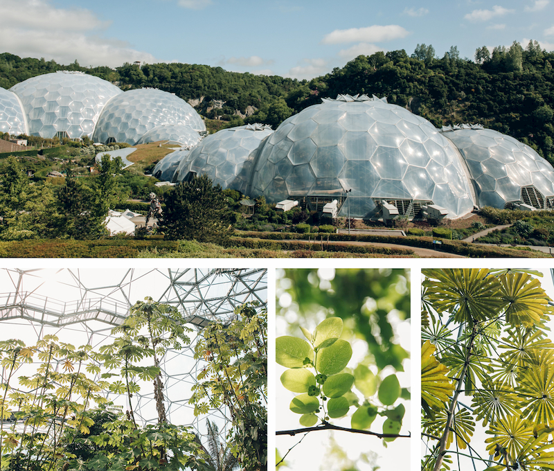Historic glass greenhouse with tropical plants and ferns, illustrating biodome architecture and indoor climate-controlled ecosystems