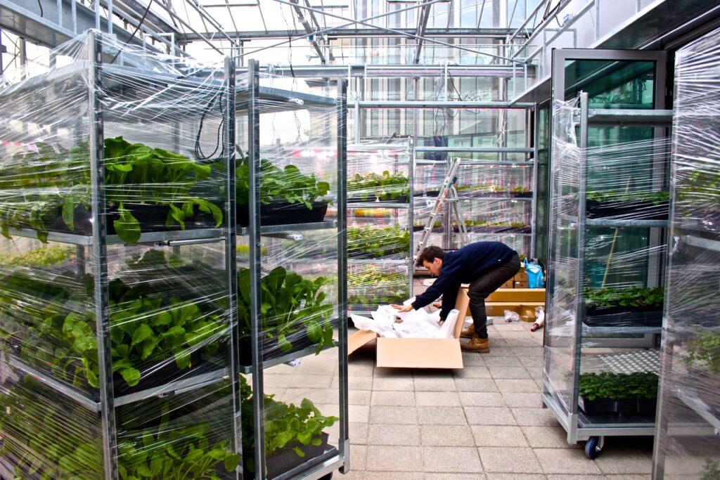 MOSS-designed rooftop garden in Utrecht with edible plants, herbs, and integrated seating
