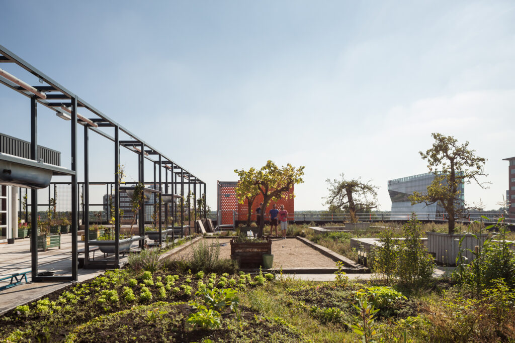 MOSS-designed rooftop garden in Amsterdam with lush greenery, seating areas, and urban views