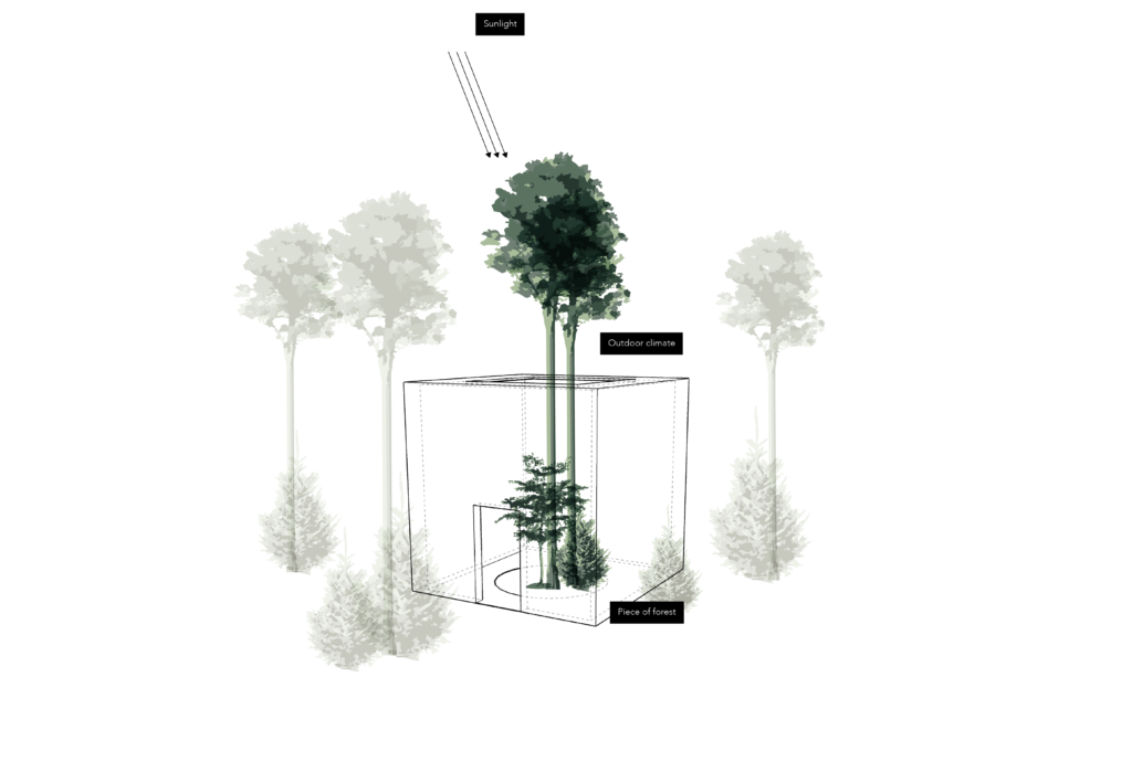 Architectural drawing of Gallery of Repair Australian Pavilion Venice Biennale endangered grassland installation layout by Baracco Wright Architects