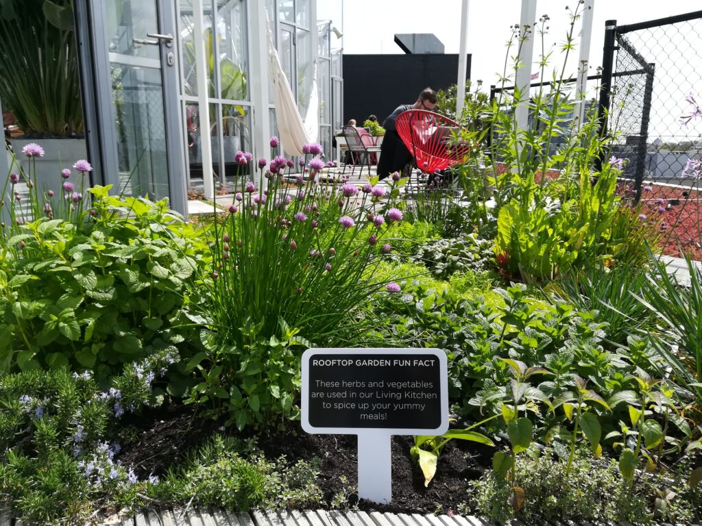 Pergola and green outdoor meeting space at Zoku Utrecht rooftop terrace