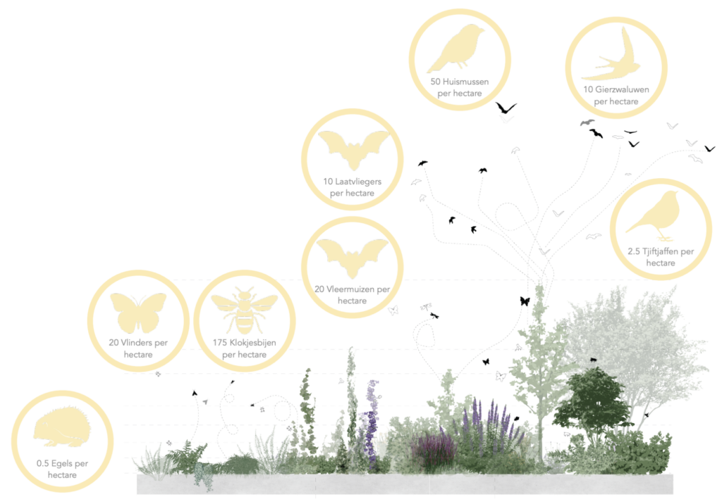 Biodiversity diagram showing layered planting with icons and per-hectare figures for birds, bats, butterflies, bees, and hedgehogs.