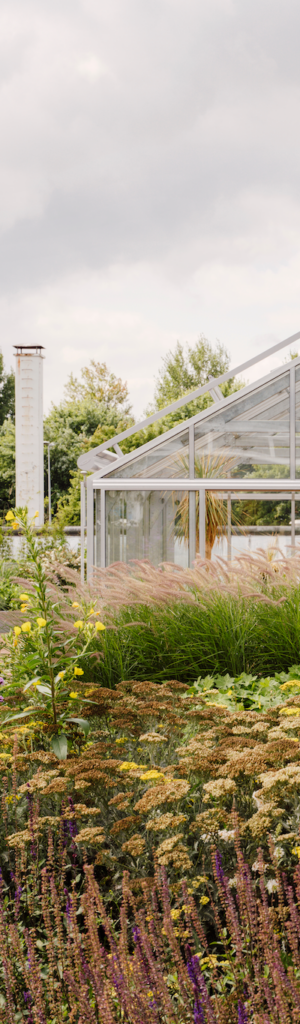 Greenhouse surrounded by naturalistic planting and ornamental grasses within a sustainable landscape design.