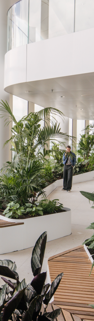 Biophilic interior landscape with lush tropical planting integrated into a modern workplace designed to enhance well-being and connection to nature.
